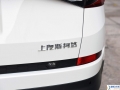 2017 TSI330 5(q)m