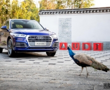 ԇ{WQ5L]ȫr8ATWQ5LڈDʲô