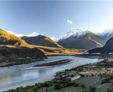 ֮ƷO֮ {AT܇͸ԭȫw