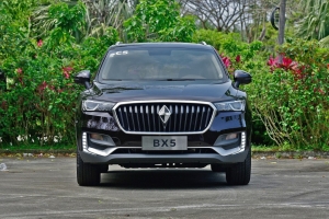 BX5ô